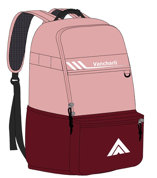 Discs golf bag